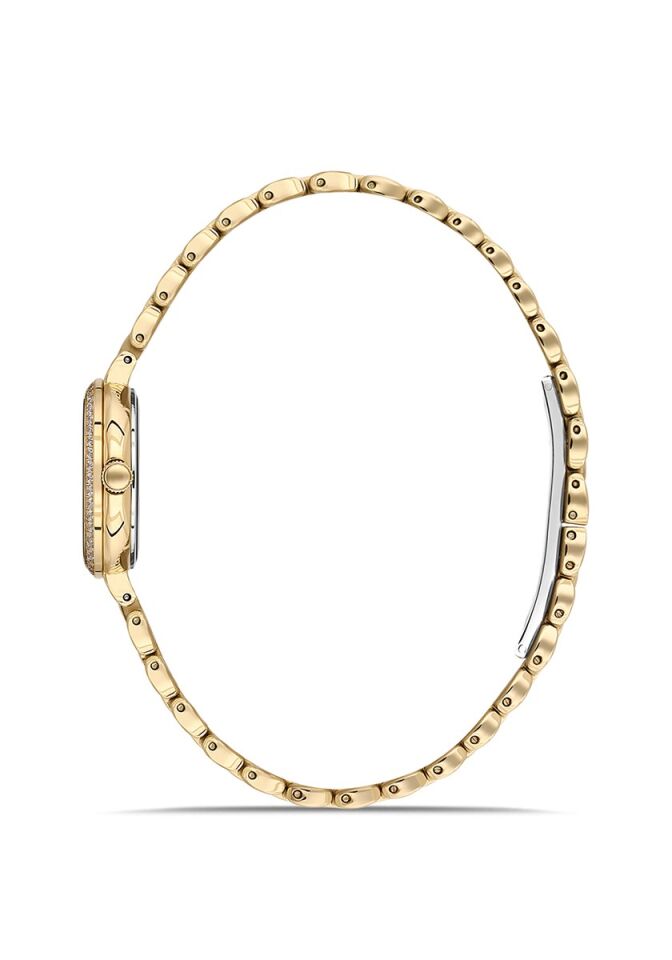 Momentus Women's Shiny SW298G-15SG