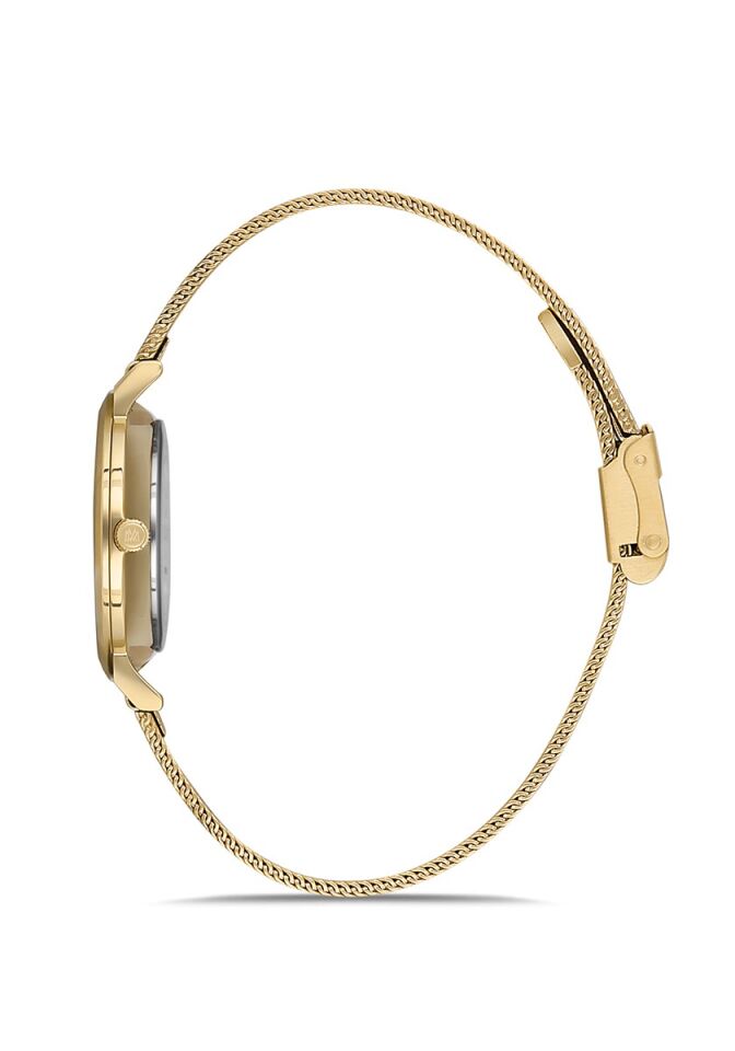 Momentus Women's Classy CW251G-02SG