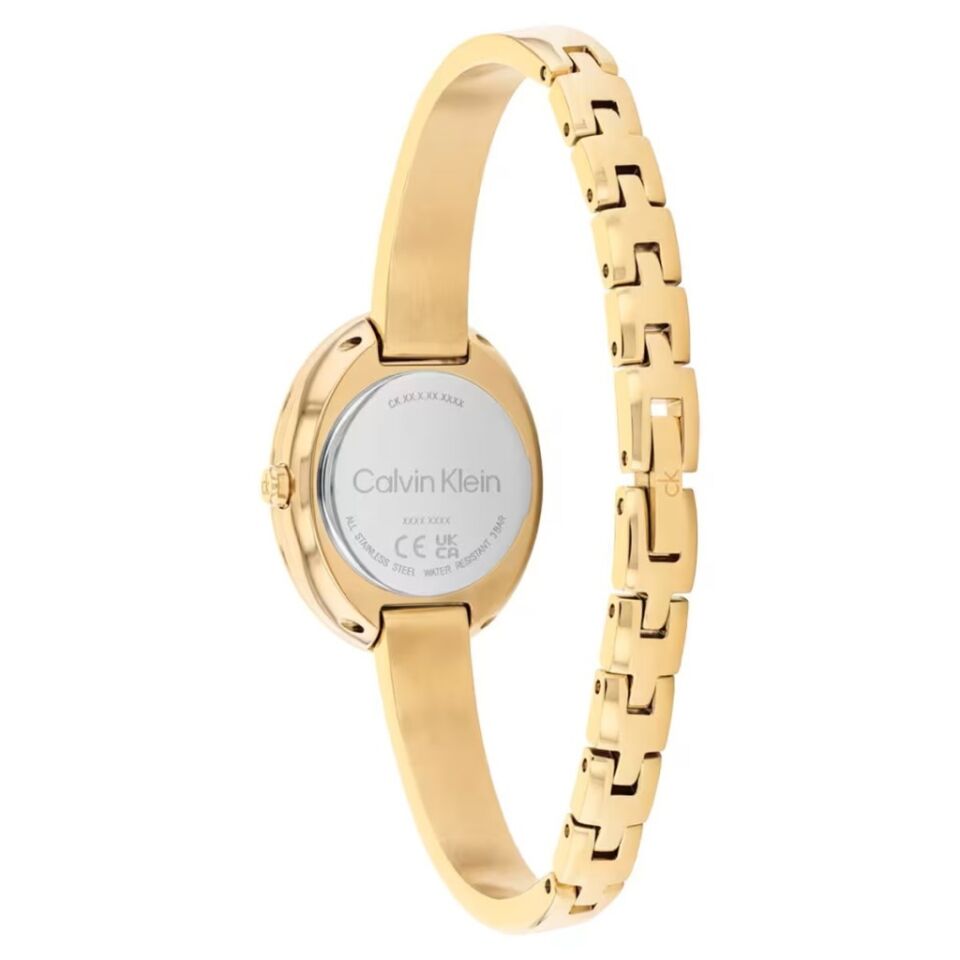Calvin Klein CK25100203 Kadın Kol Saati