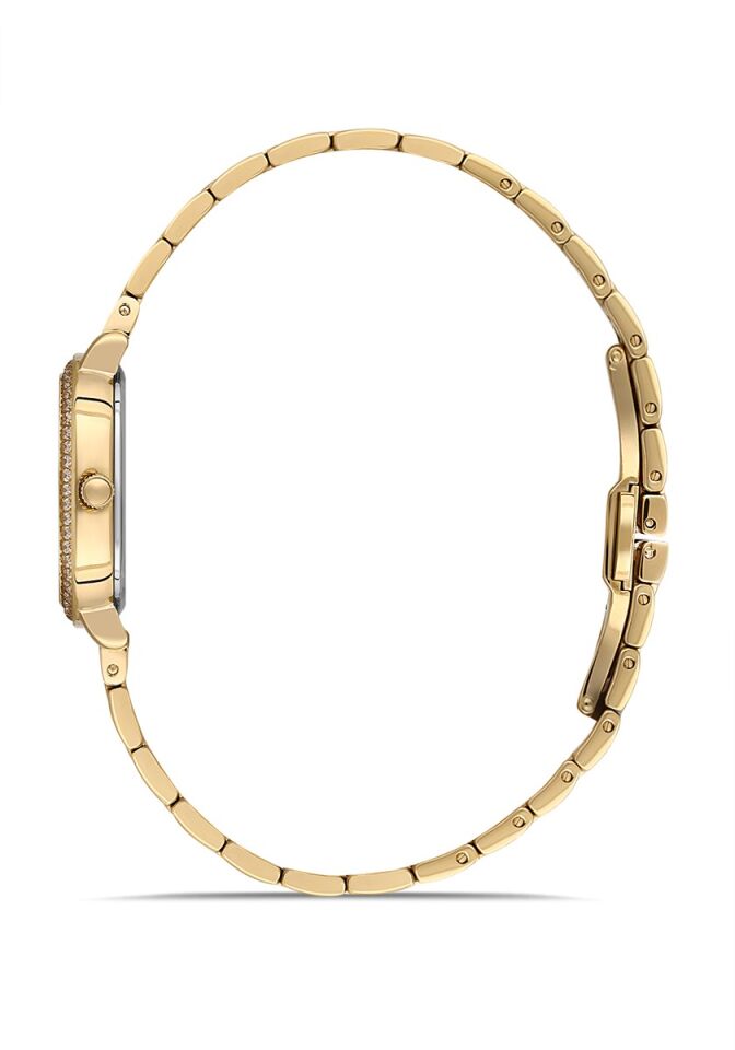 Momentus Women's Shiny SS224G-08SG