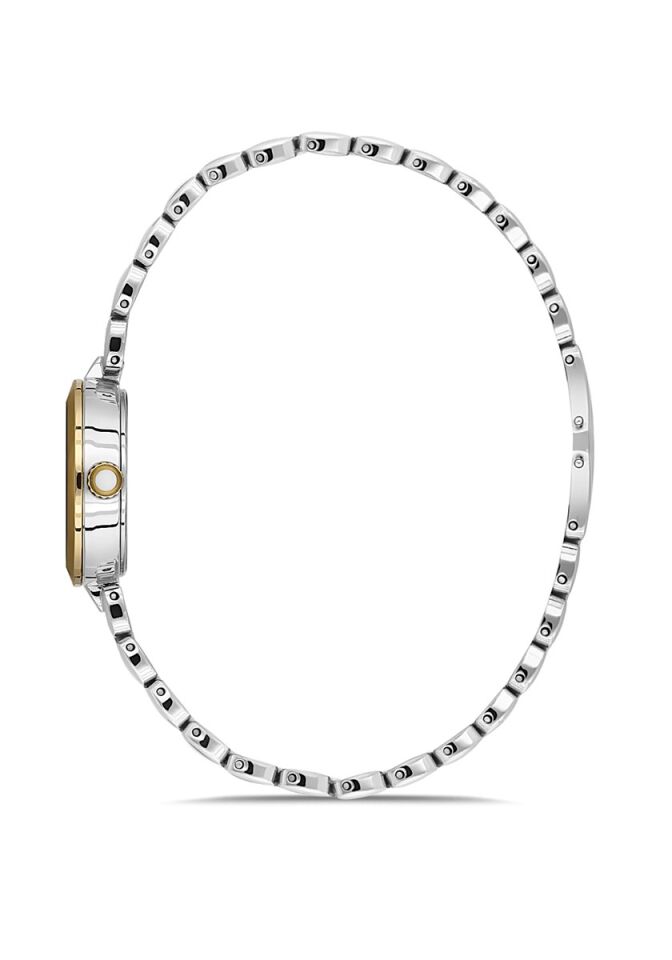 Momentus Women's Shiny SS279T-15SG