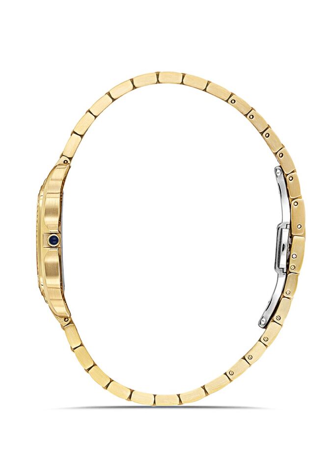 Momentus Women's Shiny Star SS348G-18SG