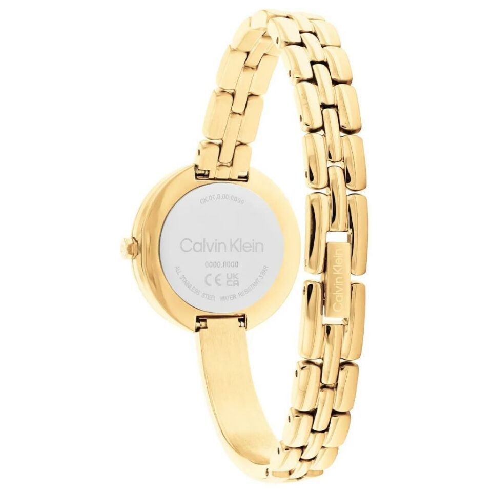 Calvin Klein Ck25200279 Kadın Kol Saati
