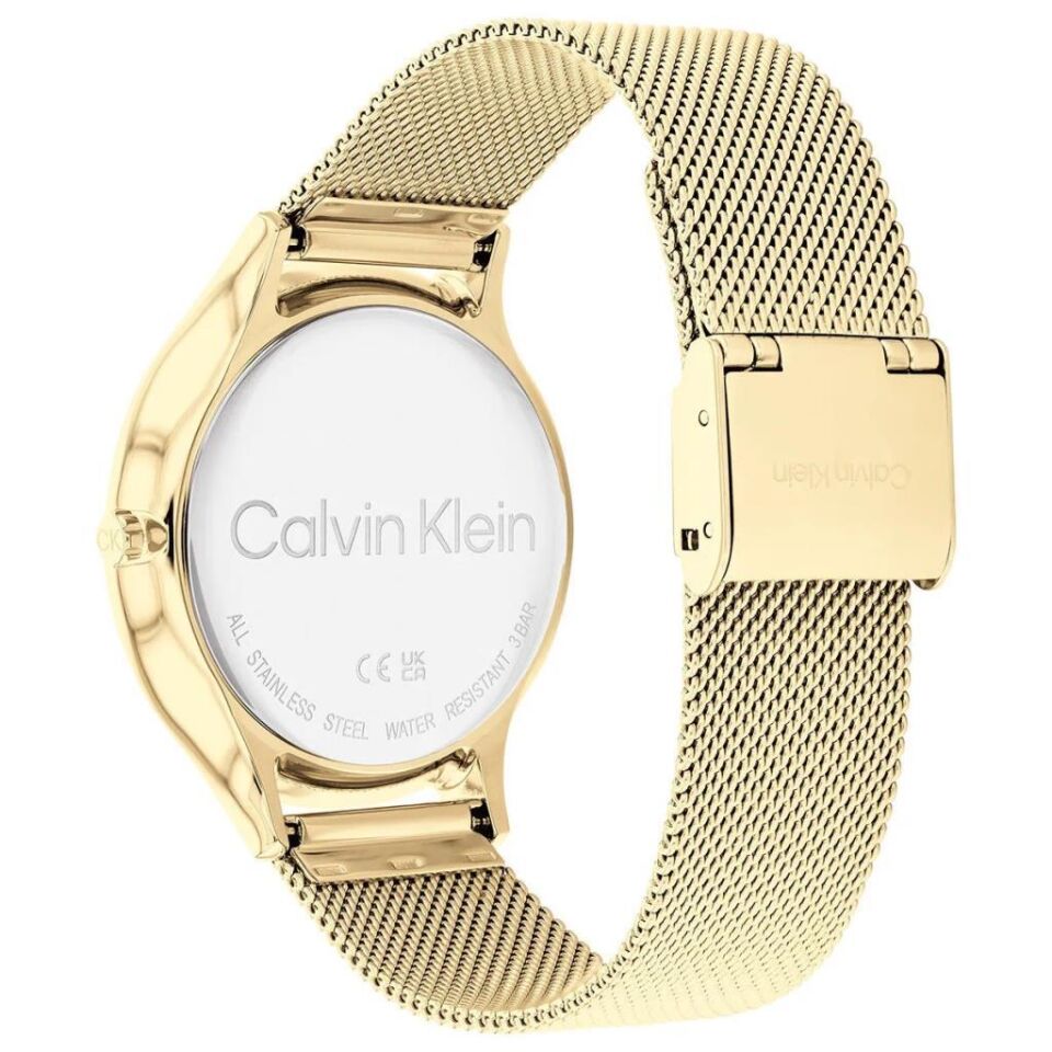 Calvin Klein CK25100005 Kadın Kol Saati