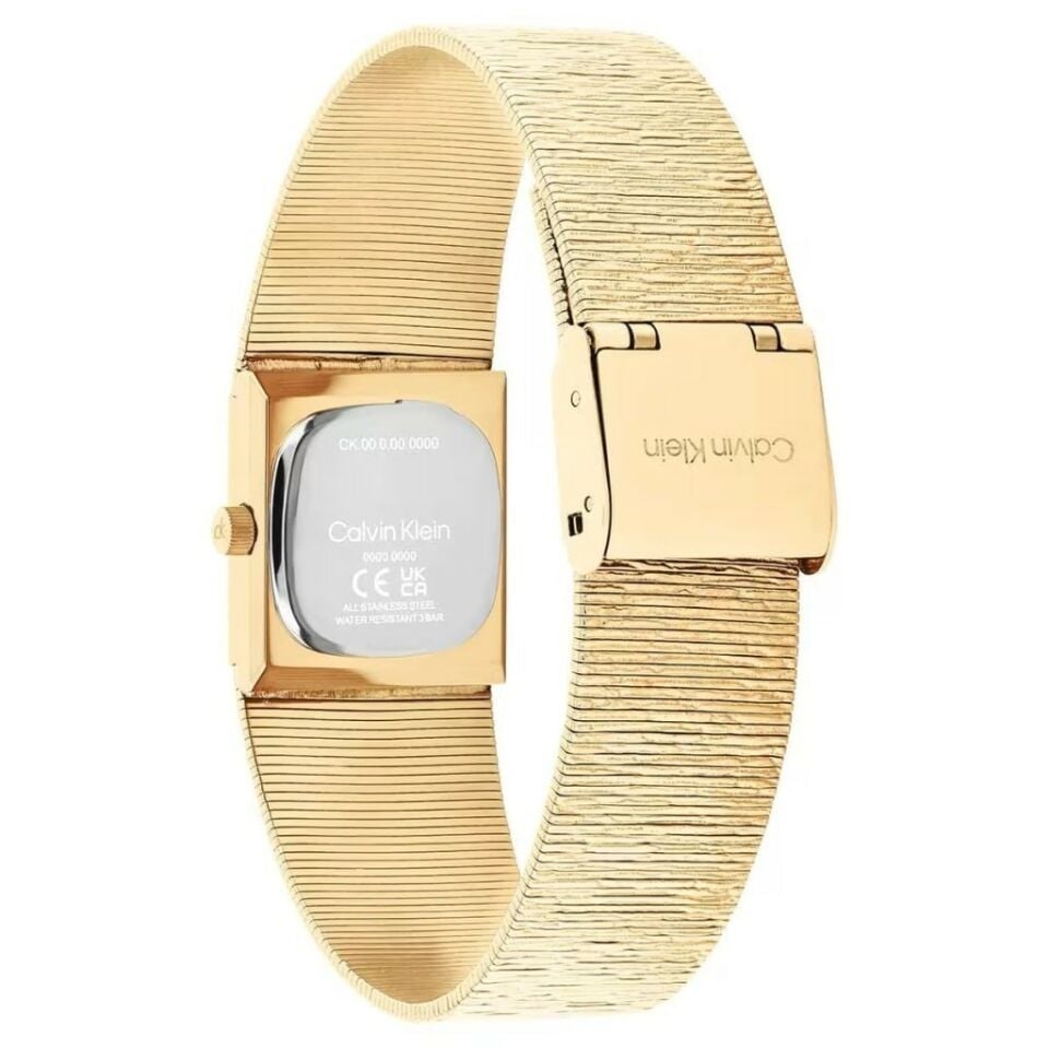 Calvin Klein Ck25100178 Kadın Kol Saati