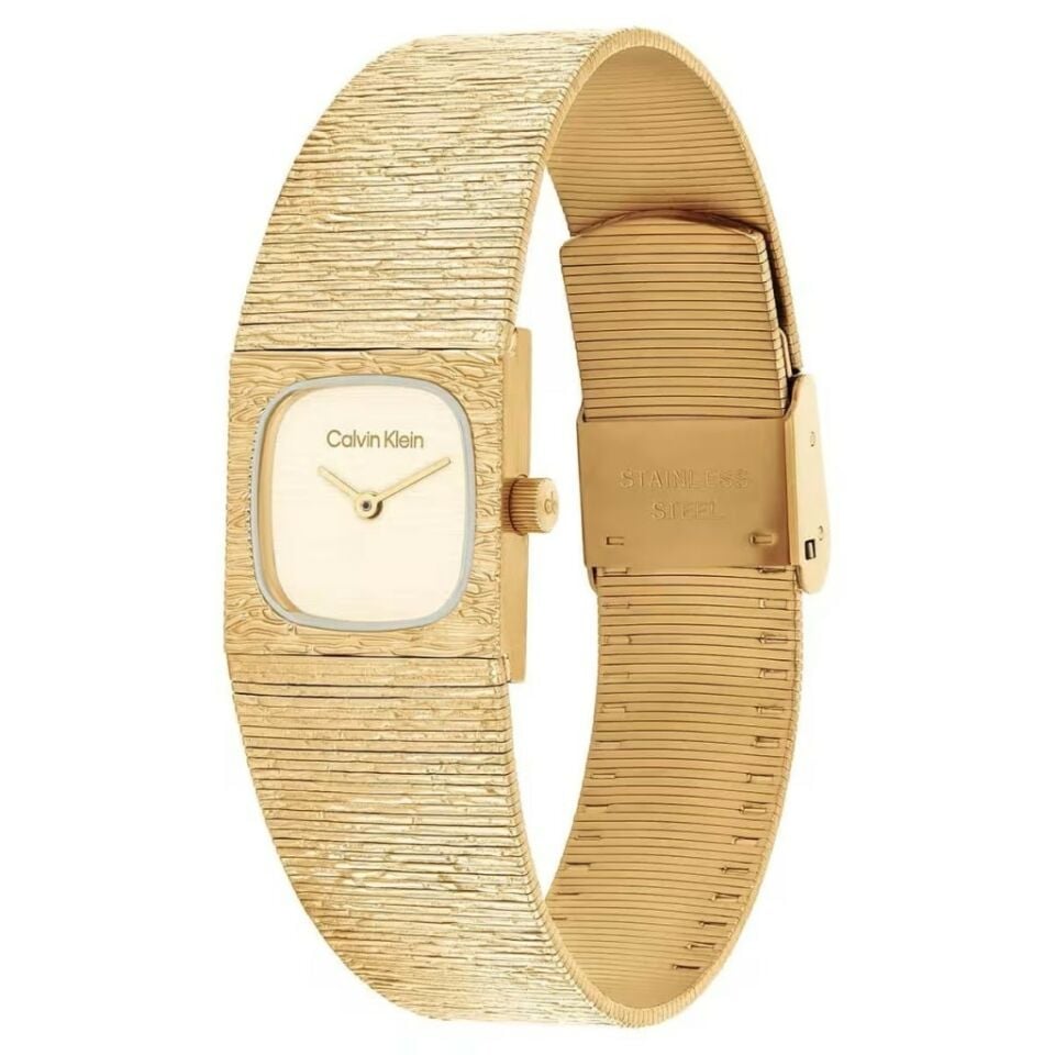 Calvin Klein Ck25100178 Kadın Kol Saati