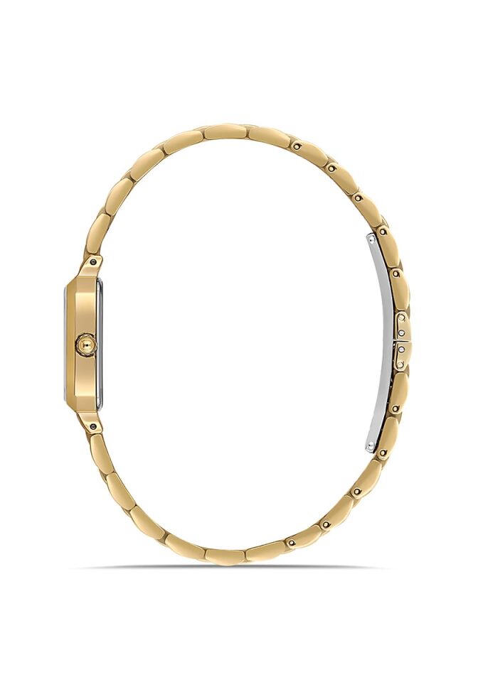 Momentus Women's Classy CW321G-15SG