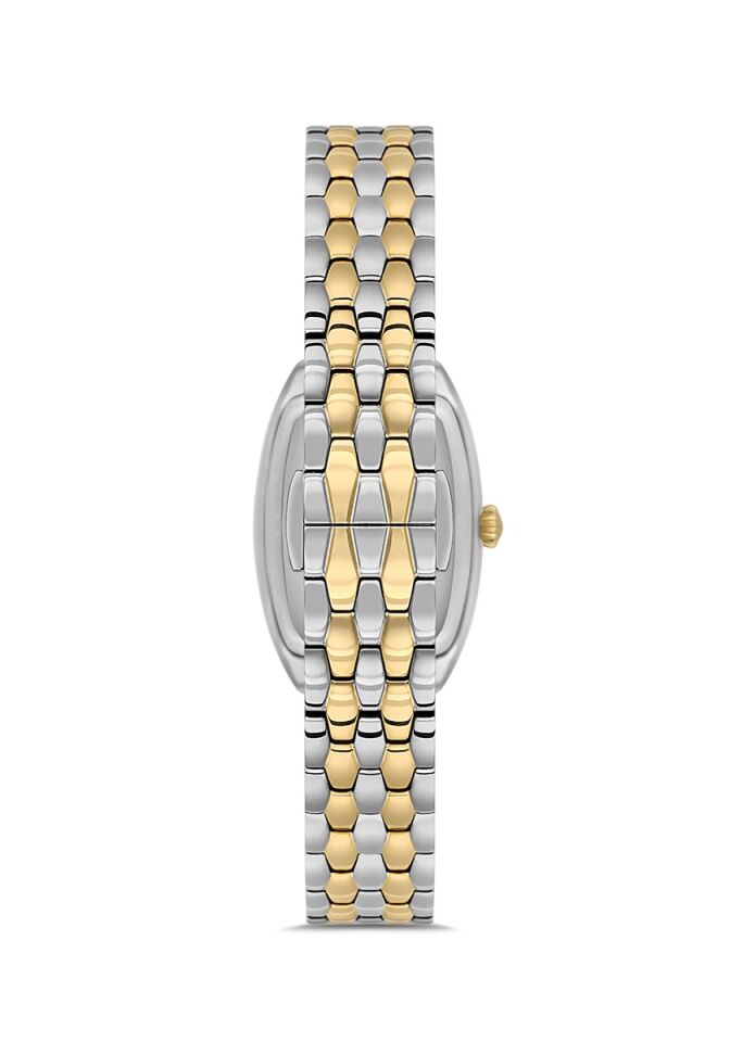 Momentus Women's Classy CW310T-15SG