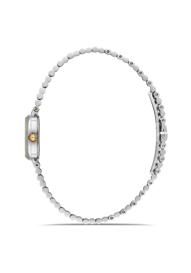 Momentus Women's Classy CW317T-15SG