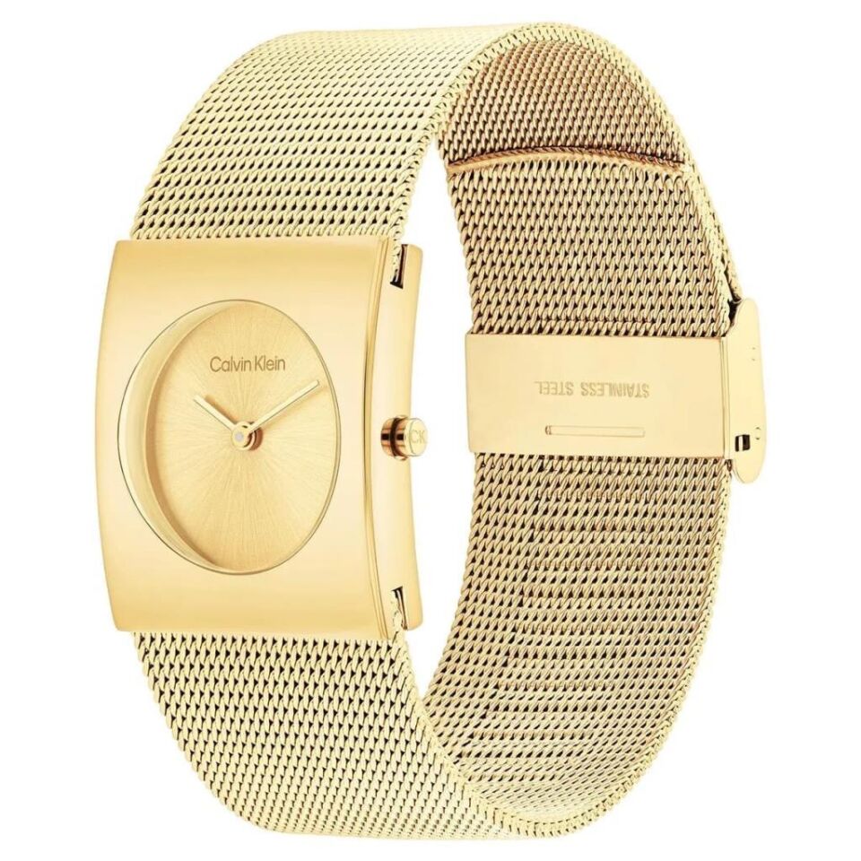 Calvin Klein CK25100062 Kadın Kol Saati