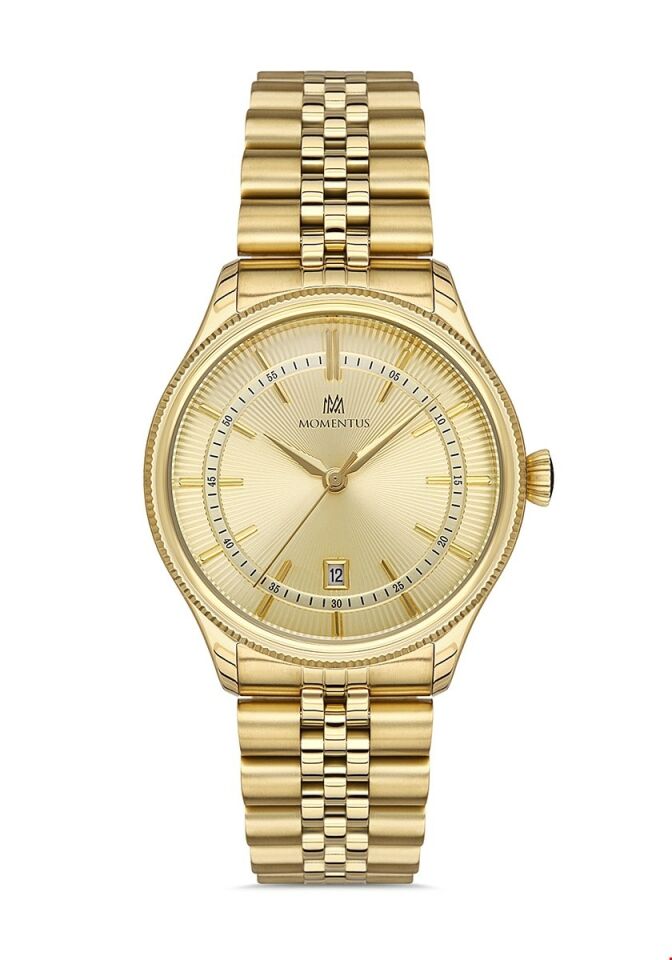 Momentus Men's Classic Master CM139G-08SG