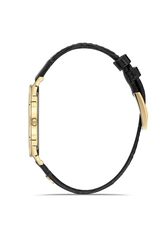 Momentus Men's Classic Master  EM349G-08BG