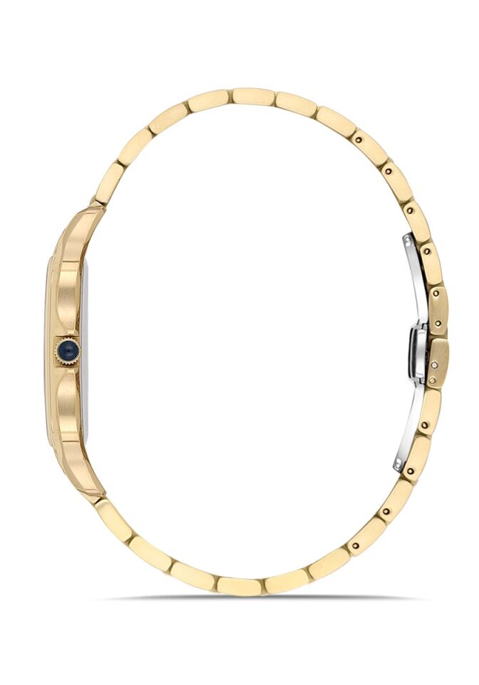 Momentus Men's Crown Master EM348G-08SG