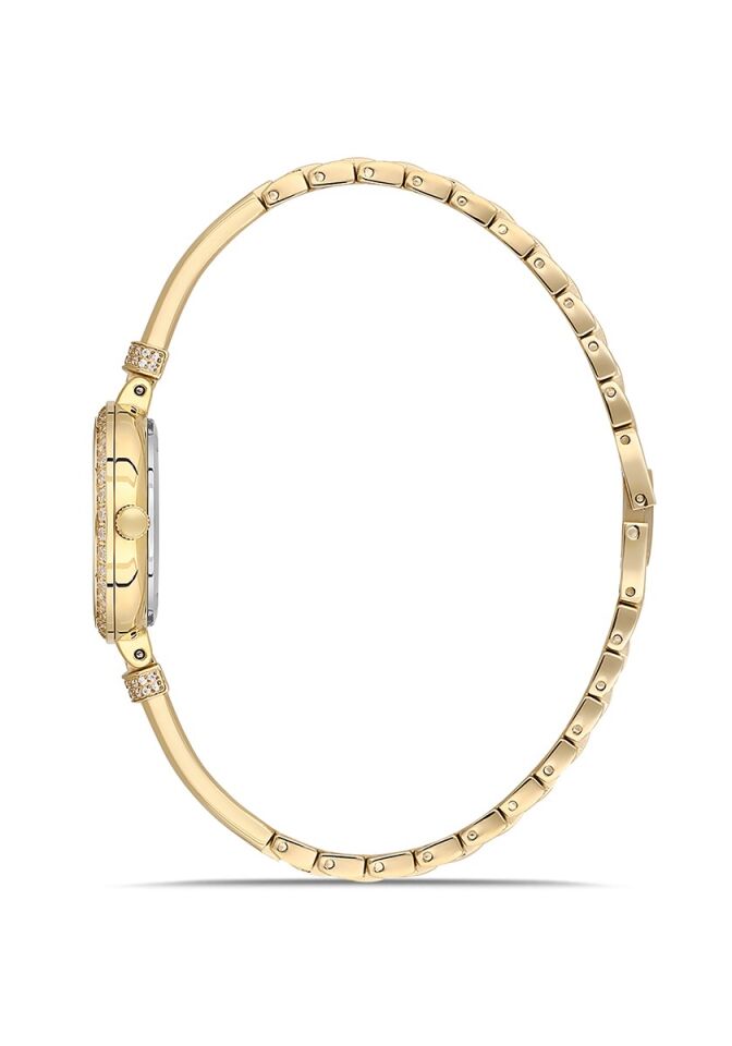 Momentus Women's Shiny SS408G-02SG
