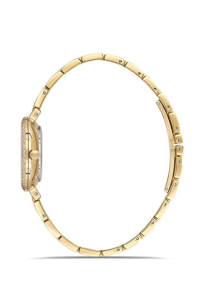 Momentus Women's Shiny SS405G-15SG